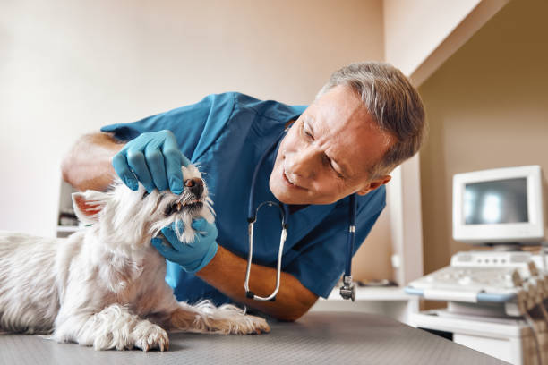 Best Emergency Gum Treatment in Metairie, LA